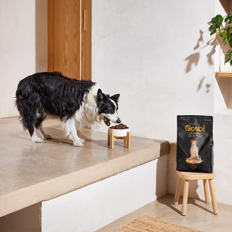 Exclusive Grain Free Dog Senior Medium with Turkey Exclusive Grain Free Dog Senior Medium with Turkey